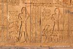 Rappresentazione Gazzelle e bovini offerti, Kom Ombo Tempio, Egitto.