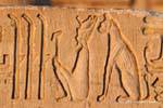 Trampoli e god Bastet gatto seduta dietro il re, rilievo, il tempio di Kom Ombo, Egitto.