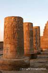 Un'altra vista delle colonne tronche illuminato dal sole al tramonto, il tempio di Kom Ombo, Egitto.