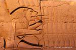 Il Leone, dettaglio di una scultura, il tempio di Kom Ombo, Egitto.