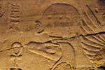 Sobek, il dio coccodrillo, sollievo, tempio di Kom Ombo, Egitto.