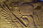 Figura Horus Ra, bassorilievo di Kom Ombo Tempio, Egitto.