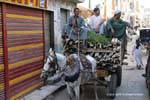 Commerciante di legname Truck, Luxor, Egitto.