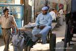 Haroun el Poussah sul suo carretto, Luxor, Egitto.