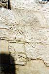 Thoth ha scritto il nome di Seti i primi frutti del Tempio albero-iched Karnak, Egitto.