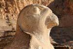 Falco Profilo Horus, il Tempio di Hatshepsut, Egitto.