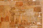 Tempio di Hatshepsut, un bambino di bere il latte della mammella sacro, Egitto.