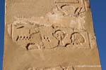 Dettaglio su una colonna della Cappella di Hathor, Tempio di Hatshepsut, Egitto.