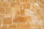 Rappresentanza Hathor vacca leccare la mano del Faraone, Tempio di Hatshepsut, Egitto.