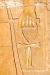 Mano che tiene la croce della vita (o ankh ankh o croce), sollievo, tempio di Hatshepsut, Egitto.