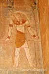 Murale di un colore Horus Tempio di Hatshepsut, Egitto.