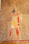 Rappresentazione di colore di Anubi, il dio padrone funeraria di cimiteri e imbalsamatori, Tempio di Hatshepsut, Egitto.