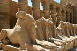 Fila di Sphinx Bubastites portico del primo cortile, tempio di Karnak, Egitto.