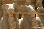 Faraone detiene il segno ankh tra le gambe del corpo ram del leone, il tempio di Karnak, Egitto.