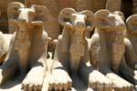 Zampe Lion della Sfinge rams nella Faraone, Tempio di Karnak, Egitto.
