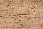 Faraone affresco guida il suo carro, tempio di Karnak, Egitto.