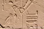 Primo piano dettagliato di un sollievo, testa, gufo e la mano tempio di Karnak, Egitto.