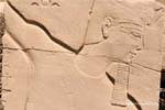 Profilo Faraone con barba finta e corona Deshret, Karnak, Egitto.