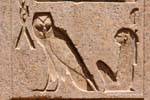 Gufo di saggezza, Unilitère m, sollievo incasso, tempio di Karnak, Egitto.