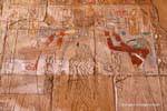 Thoth e Horus, Edfu purificano Hatshepsut, Santuario barche sacri, tempio di Karnak, Egitto.