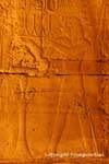 Amenhotep III fece un'offerta a Amun, bassorilievo, Luxor, Egitto.
