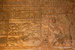 Amenhotep III fornisce un loto, Tempio di Luxor, Egitto.