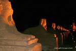 Visges spettrali, notte Dromos, Tempio di Luxor, Egitto.