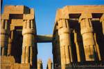 Colonne Capitals papiro chiuso vicino al cortile solare di Amenhotep III, Luxor, Egitto.