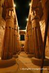 Il Santuario della corteccia di Amon, Tempio di Luxor, Egitto.