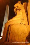 Nodo Nile dèi Dye sematawi, base della statua, Tempio di Luxor, Egitto.