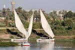 Vele trapezoidali e palme Nile, Egitto.
