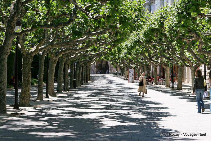 Paseo Espolon Arco verso Santa Maria, Burgos - Spagna