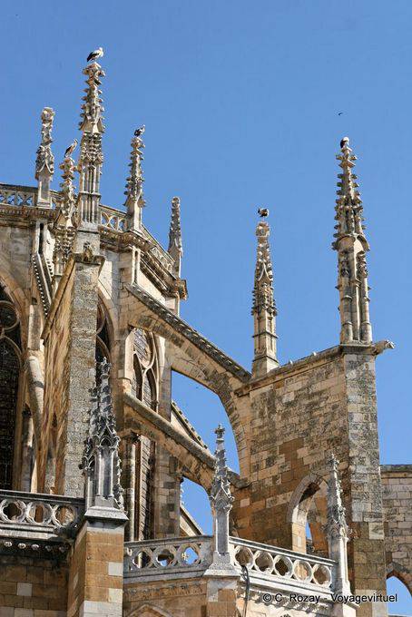 Un'altra vista delle cicogne installata sul pizzo di pietra, la Cattedrale di Notre Dame di Leon - Spagna