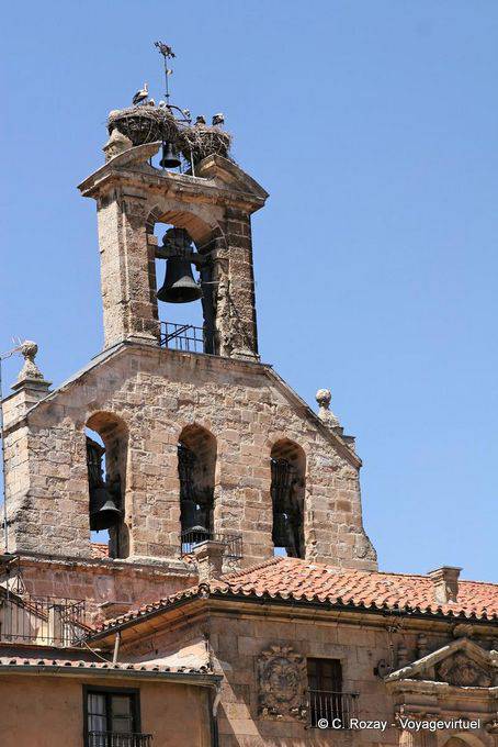 Cicogne hanno stabilito il loro nido su una torre, Salamanca - Spagna