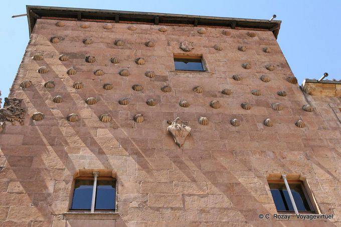 Casa de las Conchas, gusci di facciata St Jacques, Salamanca - Spagna