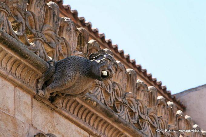 Cremoso Gargoyle, Las Escuelas Menores, Salamanca - Spagna