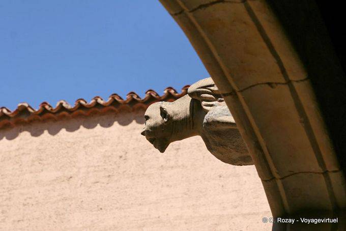 Las Escuelas Menores, gargoyle male, Salamanca - Spagna