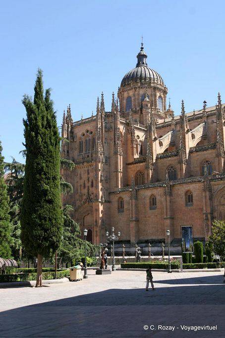 Vista generale, Cattedrale Nueva dell'Assunzione della Vergine, Salamanca - Spagna