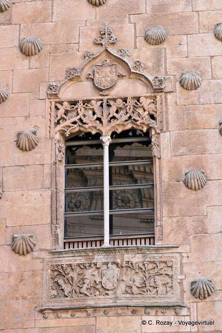 Riflessione in vetro e conchiglie Casa de las Conchas, Salamanca - Spagna