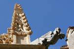 Rapaci Gargoyle, Cattedrale di S. Maria, Segovia, Spagna.