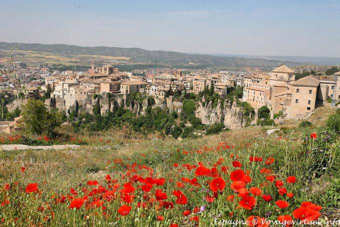 Papaveri Cuenca, Panorama - Spagna