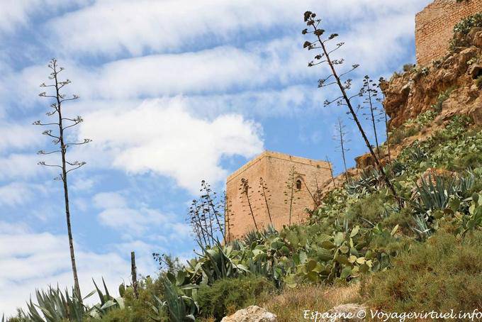 Lorca, aloe a Castillo - Spagna