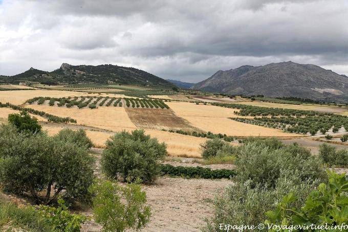 Lorca, scenario della campagna in Murcia - Spagna