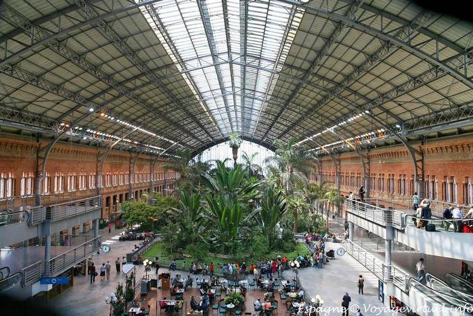 Madrid, giardino tropicale nella stazione di Atocha - Spagna