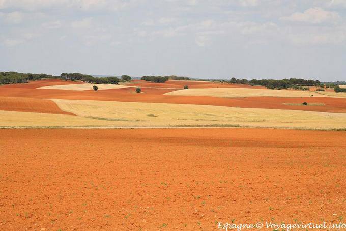 Colori della terra e della cultura Mancha - Spagna