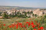 Papaveri Cuenca, Panorama, Spagna.