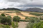 Lorca, scenario della campagna in Murcia, Spagna.