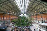Madrid, giardino tropicale nella stazione di Atocha, Spagna.