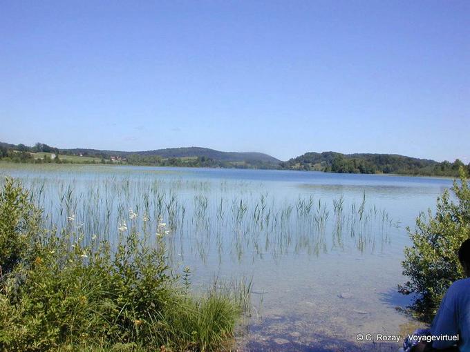 Vegetazione sulla riva del lago di Ilay (Giura) - Franca Contea, Francia