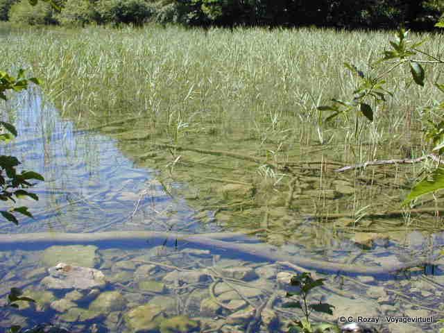 Jura, tra i laghi di Grand e Petit Maclu - Franca Contea, Francia